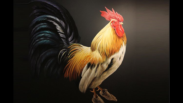 Rooster On Canvas Financial Tribune   16 'Rooster' 425 (3) 